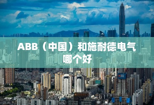 ABB（中国）和施耐德电气哪个好