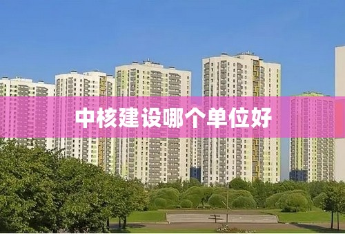 中核建设哪个单位好