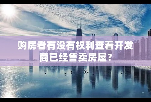 购房者有没有权利查看开发商已经售卖房屋？