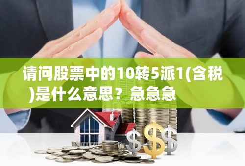 请问股票中的10转5派1(含税)是什么意思？急急急                               ｜