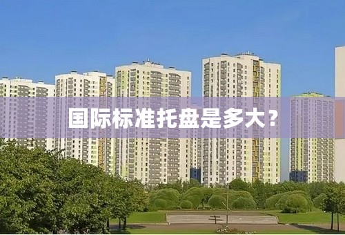 国际标准托盘是多大？