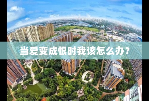 当爱变成恨时我该怎么办？