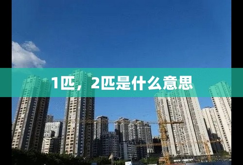 1匹，2匹是什么意思