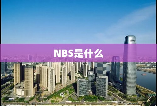 NBS是什么