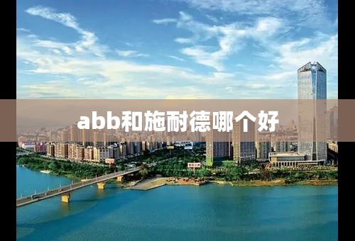 abb和施耐德哪个好