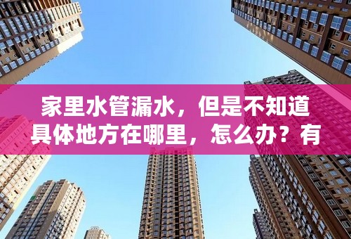 家里水管漏水，但是不知道具体地方在哪里，怎么办？有没有什么可以检测的仪器？