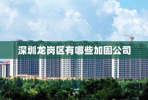 深圳龙岗区有哪些加固公司