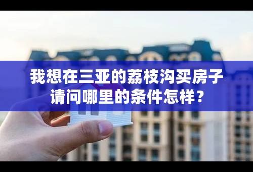 我想在三亚的荔枝沟买房子请问哪里的条件怎样？