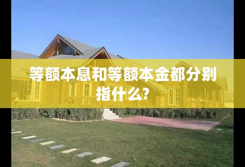 等额本息和等额本金都分别指什么?