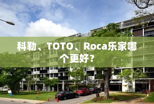 科勒、TOTO、Roca乐家哪个更好？