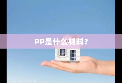 PP是什么材料？