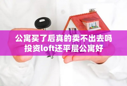 公寓买了后真的卖不出去吗投资loft还平层公寓好