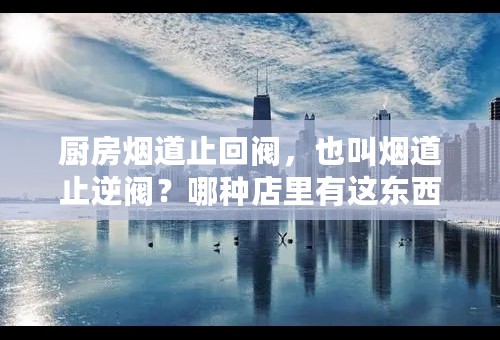 厨房烟道止回阀，也叫烟道止逆阀？哪种店里有这东西买的？