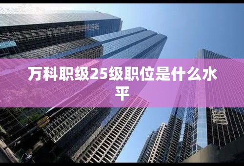 万科职级25级职位是什么水平