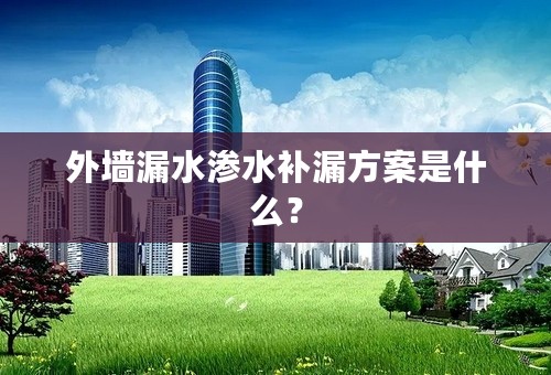 外墙漏水渗水补漏方案是什么？