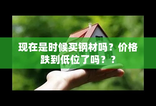 现在是时候买钢材吗？价格跌到低位了吗？？