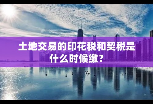 土地交易的印花税和契税是什么时候缴？