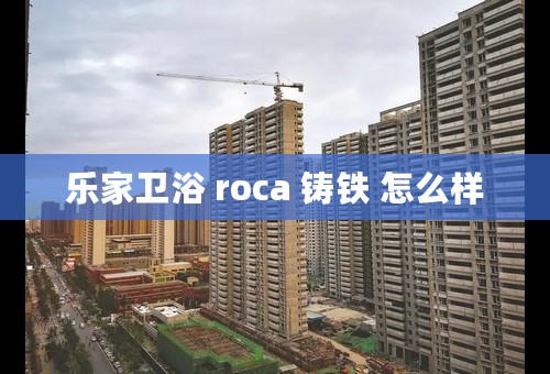 乐家卫浴 roca 铸铁 怎么样