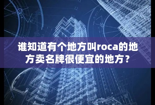 谁知道有个地方叫roca的地方卖名牌很便宜的地方？