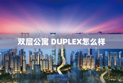 双层公寓 DUPLEX怎么样