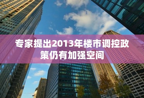 专家提出2013年楼市调控政策仍有加强空间