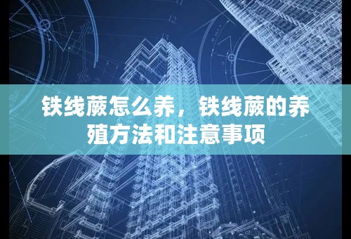 铁线蕨怎么养，铁线蕨的养殖方法和注意事项