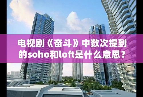 电视剧《奋斗》中数次提到的soho和loft是什么意思？