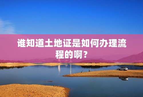 谁知道土地证是如何办理流程的啊？