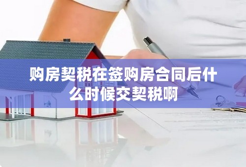 购房契税在签购房合同后什么时候交契税啊