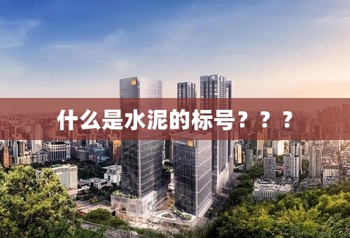 什么是水泥的标号？？？