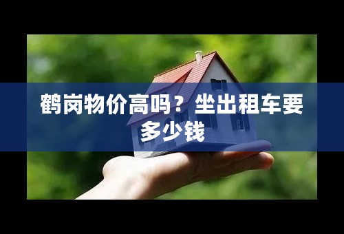 鹤岗物价高吗？坐出租车要多少钱