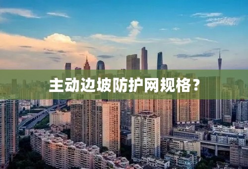 主动边坡防护网规格？