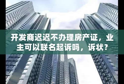 开发商迟迟不办理房产证，业主可以联名起诉吗，诉状？