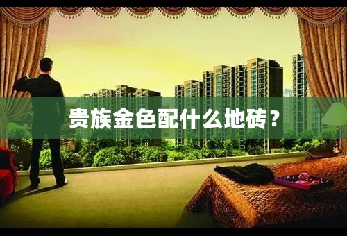 贵族金色配什么地砖？