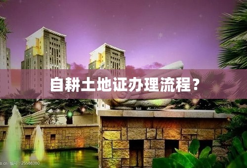 自耕土地证办理流程？