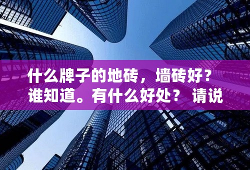 什么牌子的地砖，墙砖好？ 谁知道。有什么好处？ 请说明，谢谢。