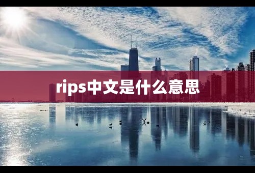 rips中文是什么意思