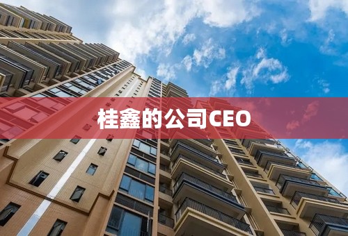 桂鑫的公司CEO