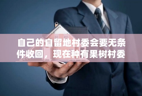 自己的自留地村委会要无条件收回，现在种有果树村委会合法吗