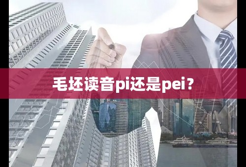 毛坯读音pi还是pei？