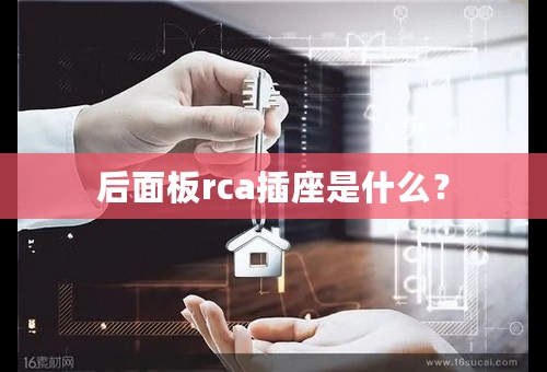 后面板rca插座是什么？