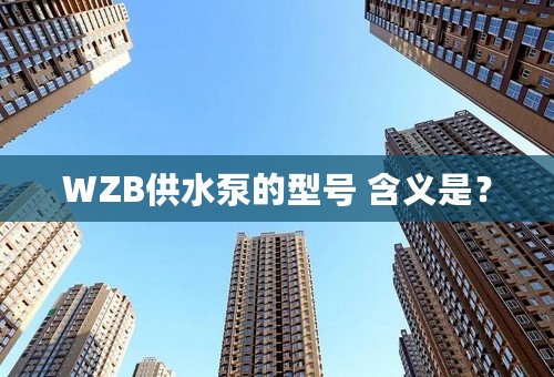 WZB供水泵的型号 含义是？