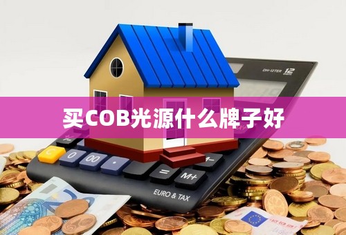 买COB光源什么牌子好