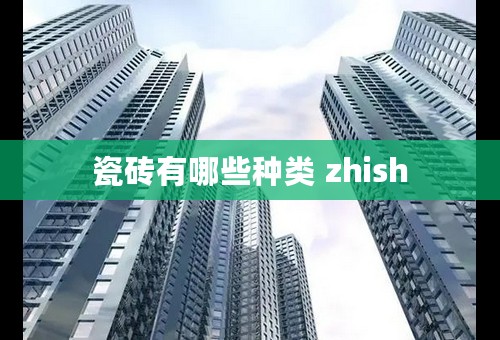 瓷砖有哪些种类 zhish