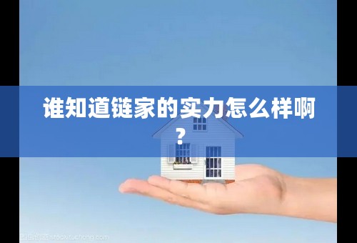 谁知道链家的实力怎么样啊？