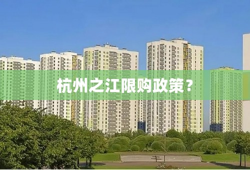 杭州之江限购政策？