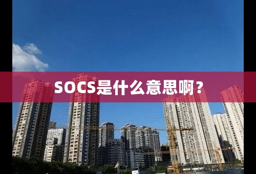 SOCS是什么意思啊？