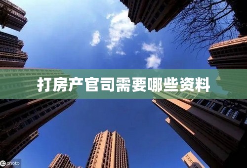 打房产官司需要哪些资料