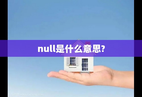 null是什么意思?