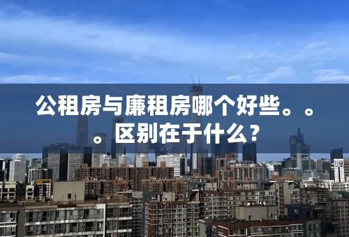 公租房与廉租房哪个好些。。。区别在于什么？